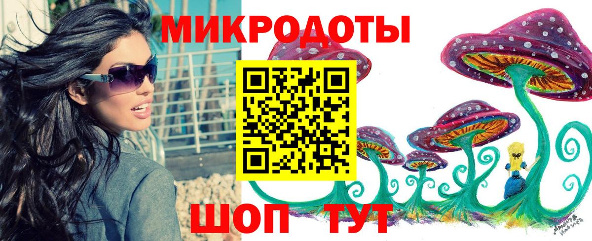 Валуйки  Псилоцибиновые грибы Psilocybe  Вход с VPN  Галлюциногенные грибы прущие грибы 